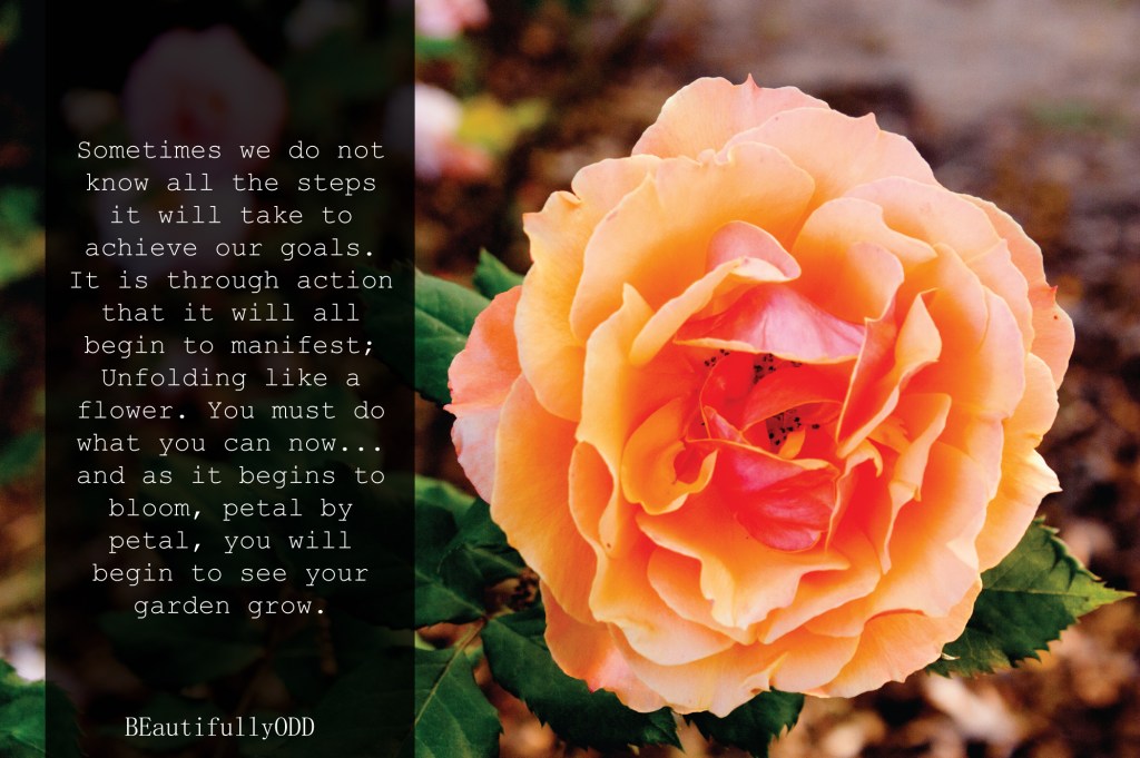 Hope Before the New Year: 7 Ways to Start the NY’s off&nbsp;Right!